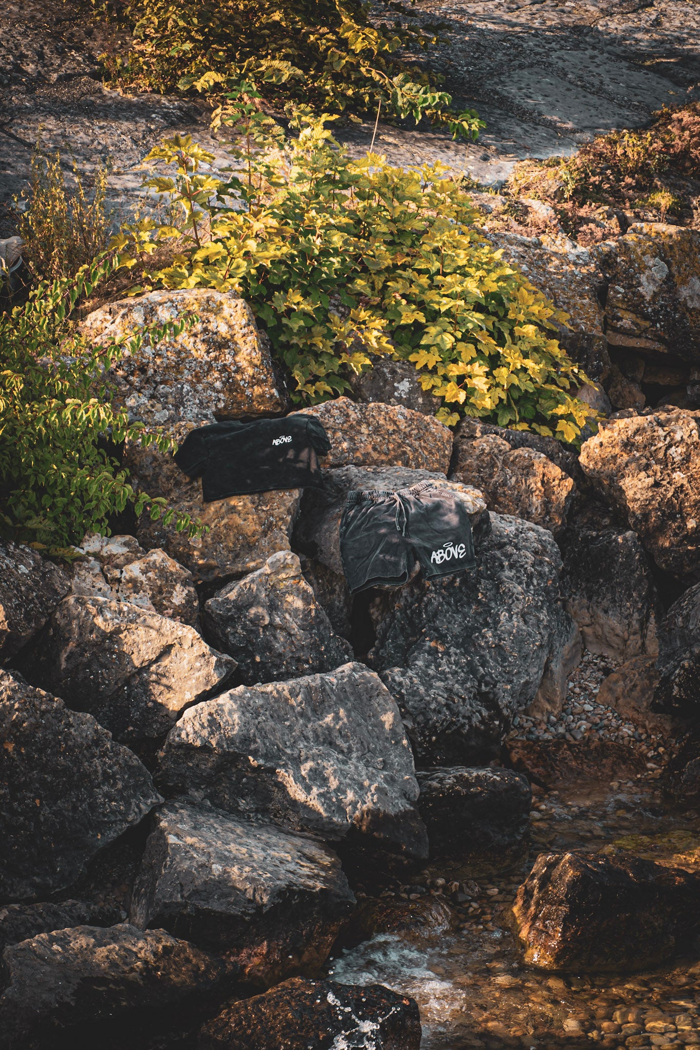 Above Short&Crop-top